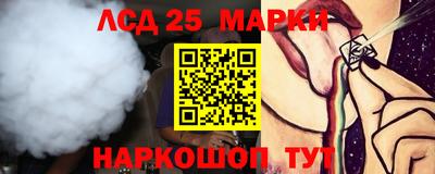 гидропоника Славгород