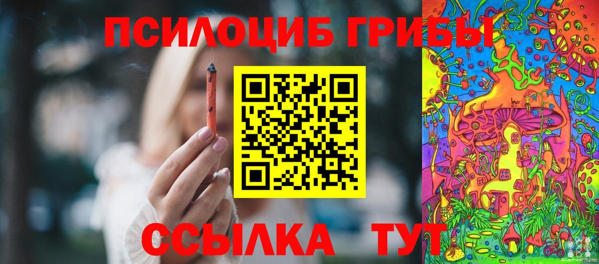 Сафоново  Галлюциногенные грибы Cubensis  Галлюциногенные грибы Psilocybine cubensis  Вход с VPN 